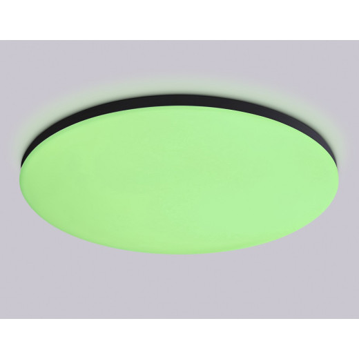 Накладной светильник Ambrella Light FZ FZ2006