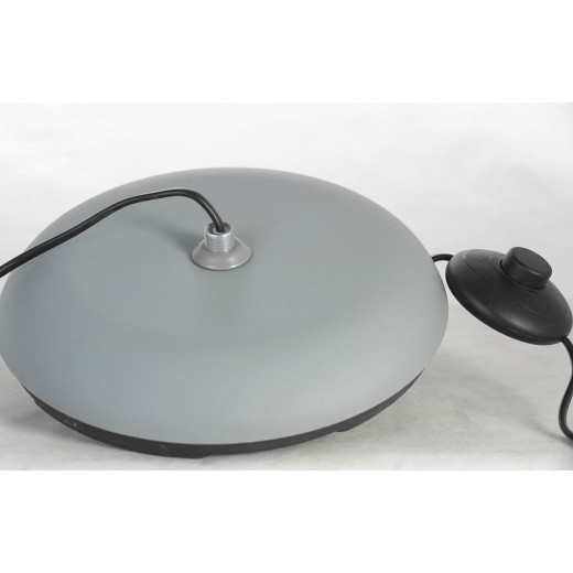 Торшер Lussole Flagstaff LSP-0630