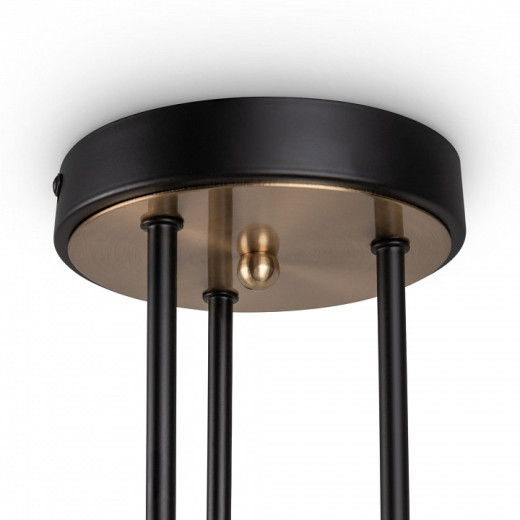 Потолочная люстра Freya Bogy FR5377CL-06B