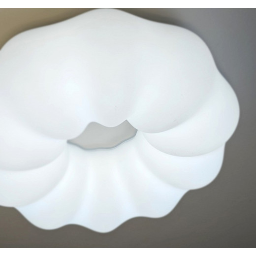 Накладной светильник Zortes Soft ZRS.1118.2