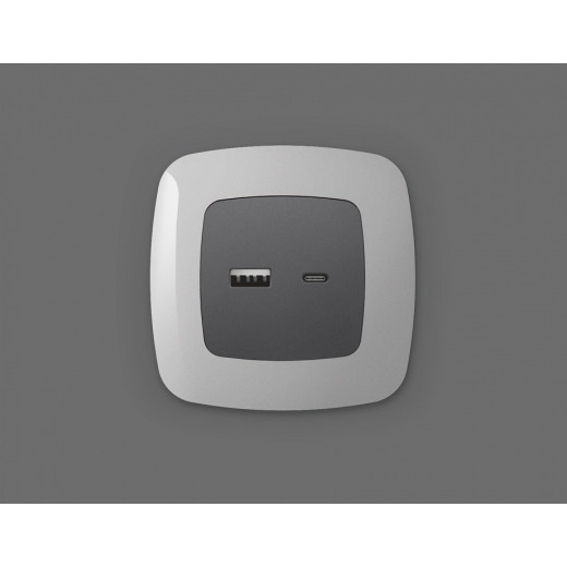 Накладка для розетки type A и C Ambrella Volt Quant OP6610