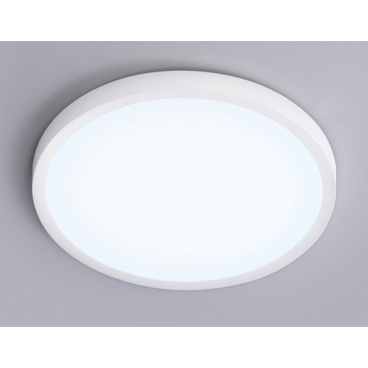 Накладной светильник Ambrella Light FZ FZ1951