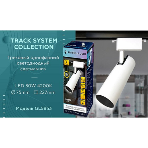 Светильник на штанге Ambrella Light GL GL5853