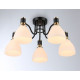 Потолочная люстра Ambrella Light TR TR303307