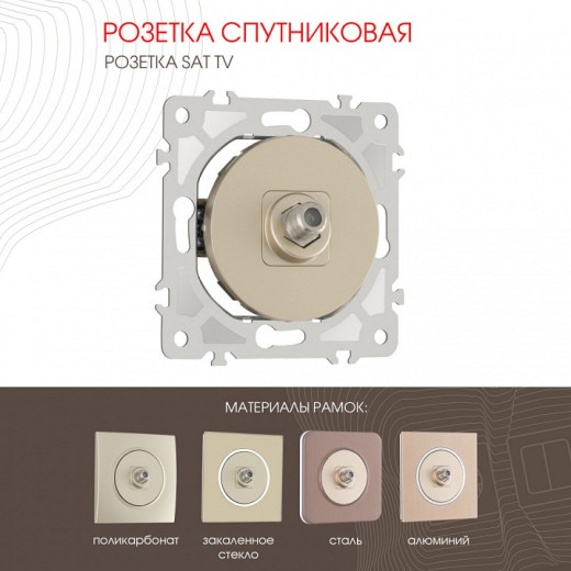 ТВ-розетка без рамки Arte Milano am-202 202.42-1.shampan