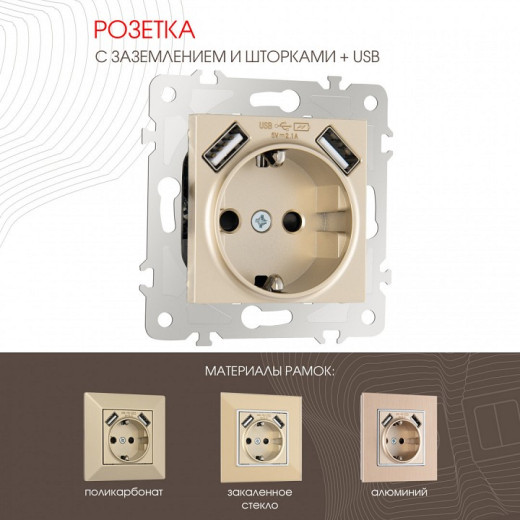 Розетка с заземлением и со шторкой и 2хUSB, без рамки Arte Milano am-203 203.47-1.shampan