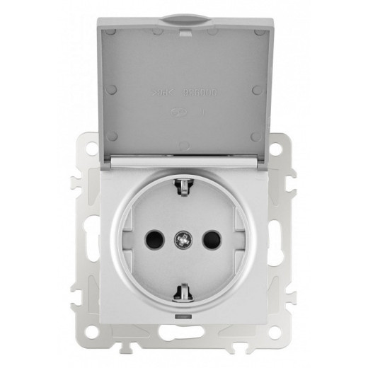 Розетка влагозащищенная с заземлением и со шторкой с крышкой Arte Milano am-206 206.41-1.silver