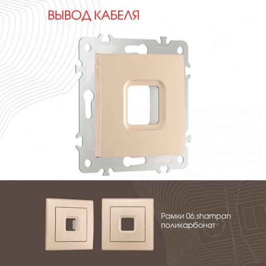 Розетка для вывод кабеля без рамки Arte Milano am-206 206.49-1.shampan