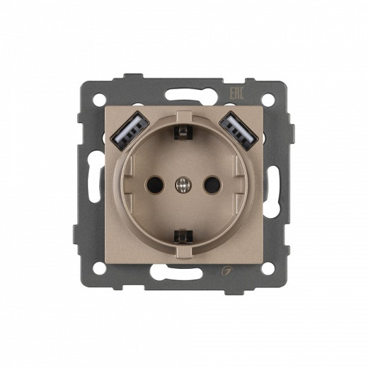 Розетка с заземлением и 2хUSB type A, без рамки Arlight SCT 049821