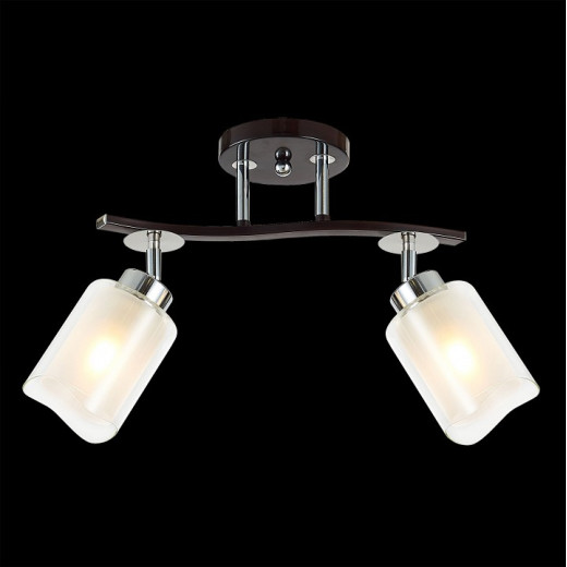 Спот Citilux Фортуна CL156122