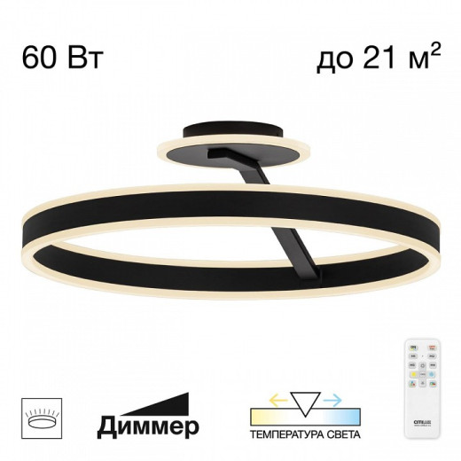 Светильник на штанге Citilux Дуэт CL719751