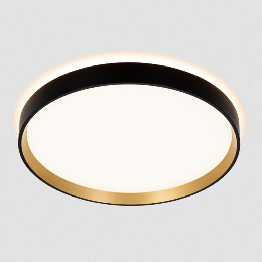 Накладной светильник Citilux ETALON CL750321R