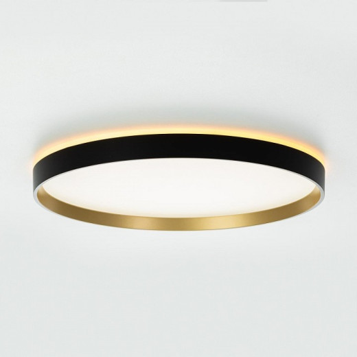 Накладной светильник Citilux ETALON CL750401R