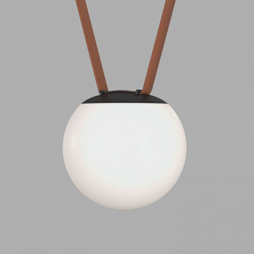 Накладной светильник Denkirs BELTY ORB DK5550-BK