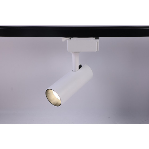 Светильник на штанге Эра  TR5-10 COB WH