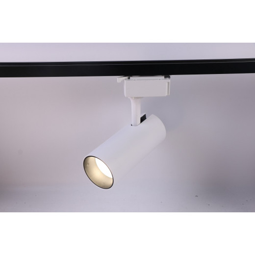 Светильник на штанге Эра  TR5-20 COB WH