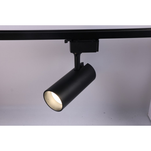 Светильник на штанге Эра  TR5-20 COB BK
