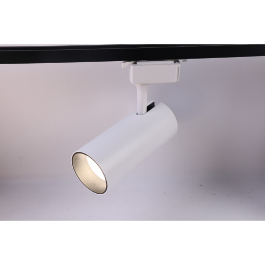 Светильник на штанге Эра  TR5-30 COB WH