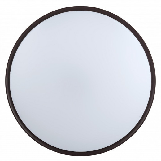 Накладной светильник Эра Классик SPB-6-70-RC Sance