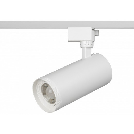 Светильник на штанге Эра  TR59 - 3030 WH