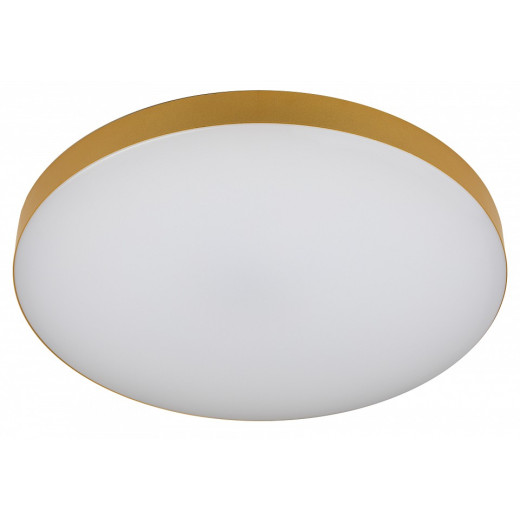 Накладной светильник Эра Relict Relict 48 Pult SPB-6-60-RC MG