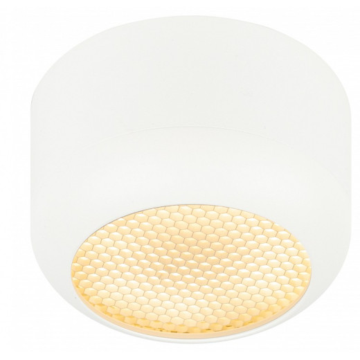 Накладной светильник Эра  OL56 WH