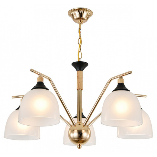 Подвесная люстра Escada Actinidia 2123/5P