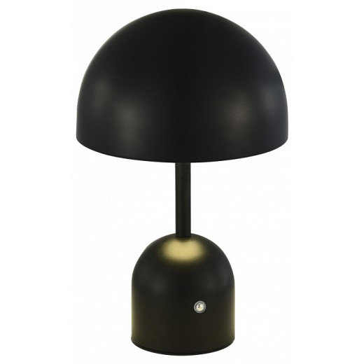 Настольная лампа декоративная EVOLUCE Eclat SLE1806-404-01