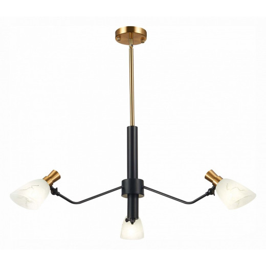 Люстра на штанге EVOLUCE Lita SLE205403-03