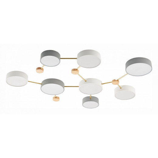 Накладной светильник EVOLUCE Dossena SLE600102-08