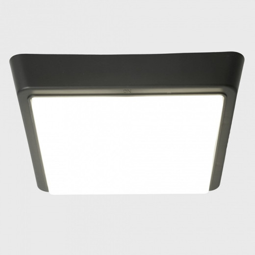 Накладной светильник Feron AL3021 51477