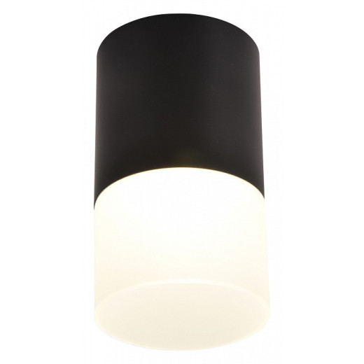 Накладной светильник Favourite Naram 3070-1C