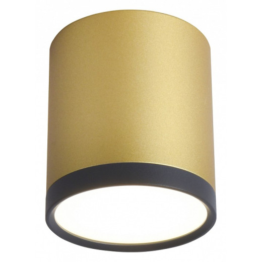 Накладной светильник Favourite Baral 3082-1C