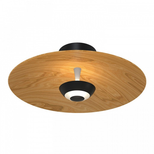 Накладной светильник Favourite Rueda 4290-1W