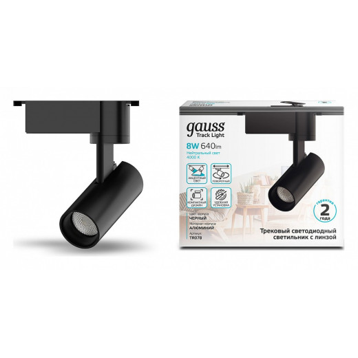 Светильник на штанге Gauss TR TR078