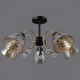 Люстра на штанге ILLUMICO  IL0230-5CSQ-29 BK AB