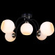 Потолочная люстра ILLUMICO  IL0250-5CSQ-79 BK AB