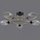 Потолочная люстра ILLUMICO  IL0300-5CSQ-79 BK AB