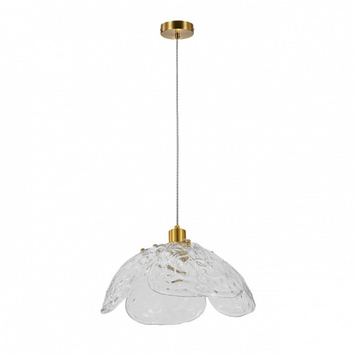 Подвесной светильник Indigo Amore 11051/1P Clear