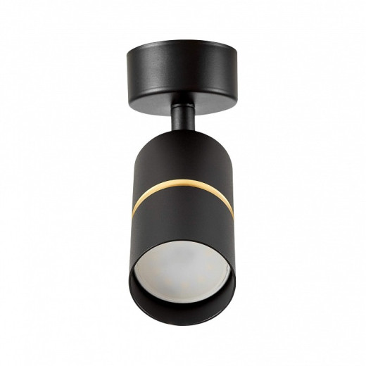 Спот Lampit ASTI TS TK40-C1 BK+GD