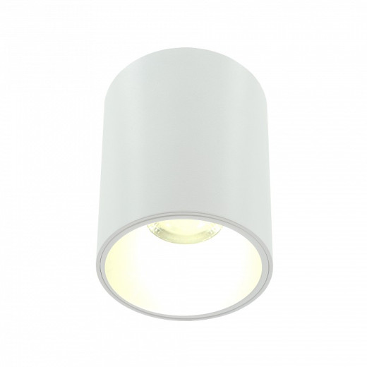 Накладной светильник LIGHTERA Shamrock LE201CL-1WA