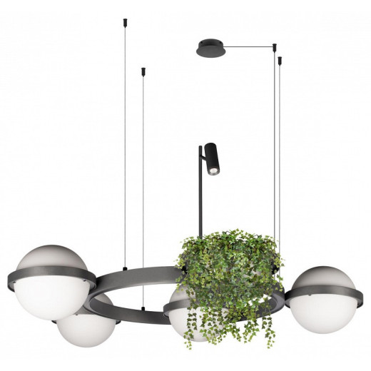 Подвесная люстра Loft it Jardin 10121/4 Dark grey