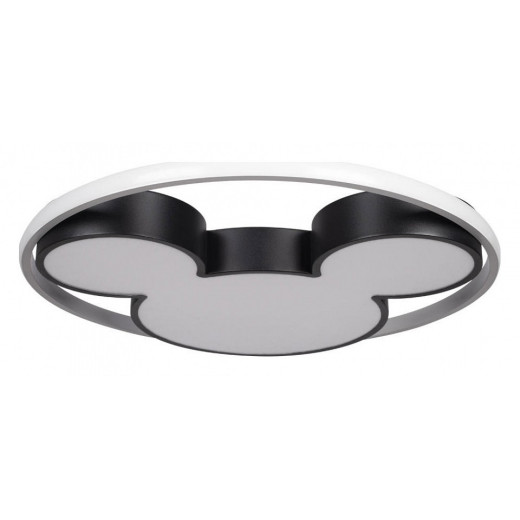 Накладной светильник Loft it Mike 10166