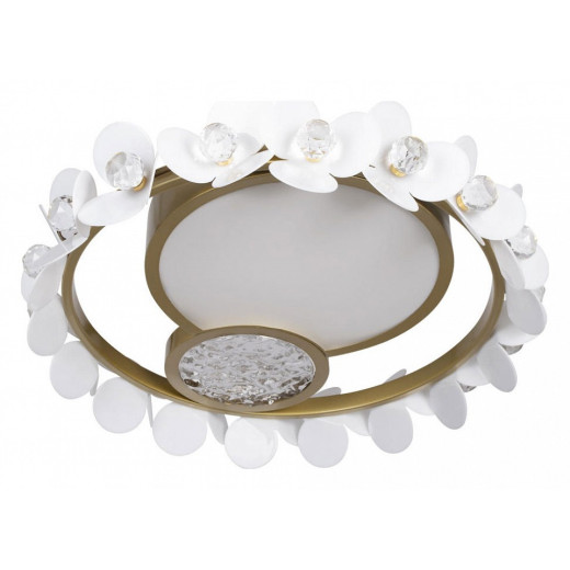 Накладной светильник Loft it Bride 10173