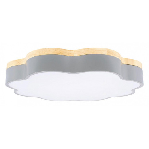 Накладной светильник Loft it Axel 10225/36 Grey