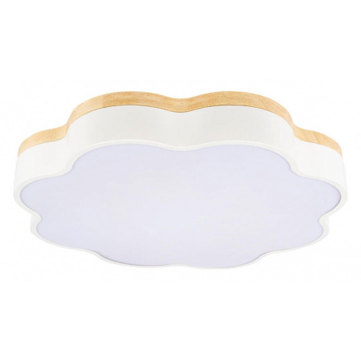 Накладной светильник Loft it Axel 10225/36 White