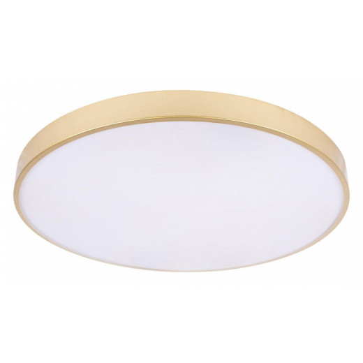 Накладной светильник Loft it Flims 10228/B