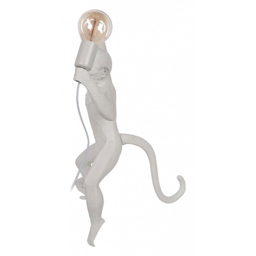 Бра Loft it Monkey 10314W/B