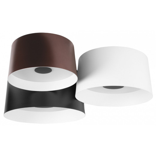 Потолочная люстра Loft it Duo 10360/3