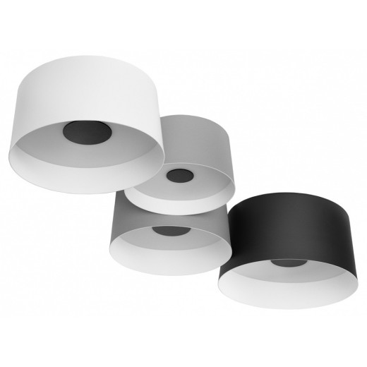 Потолочная люстра Loft it Duo 10360/4